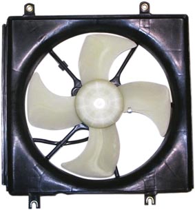 PDD20006