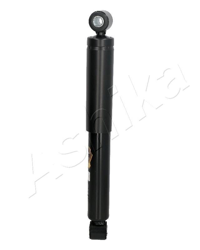 AMS-00051