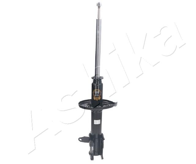 AMS-00101