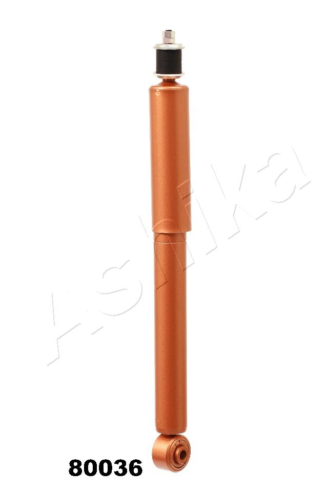 AMS-00137