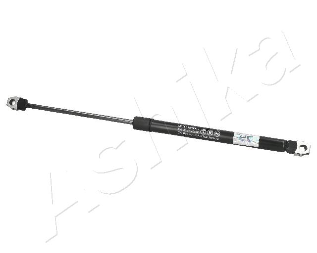 APS-10-004